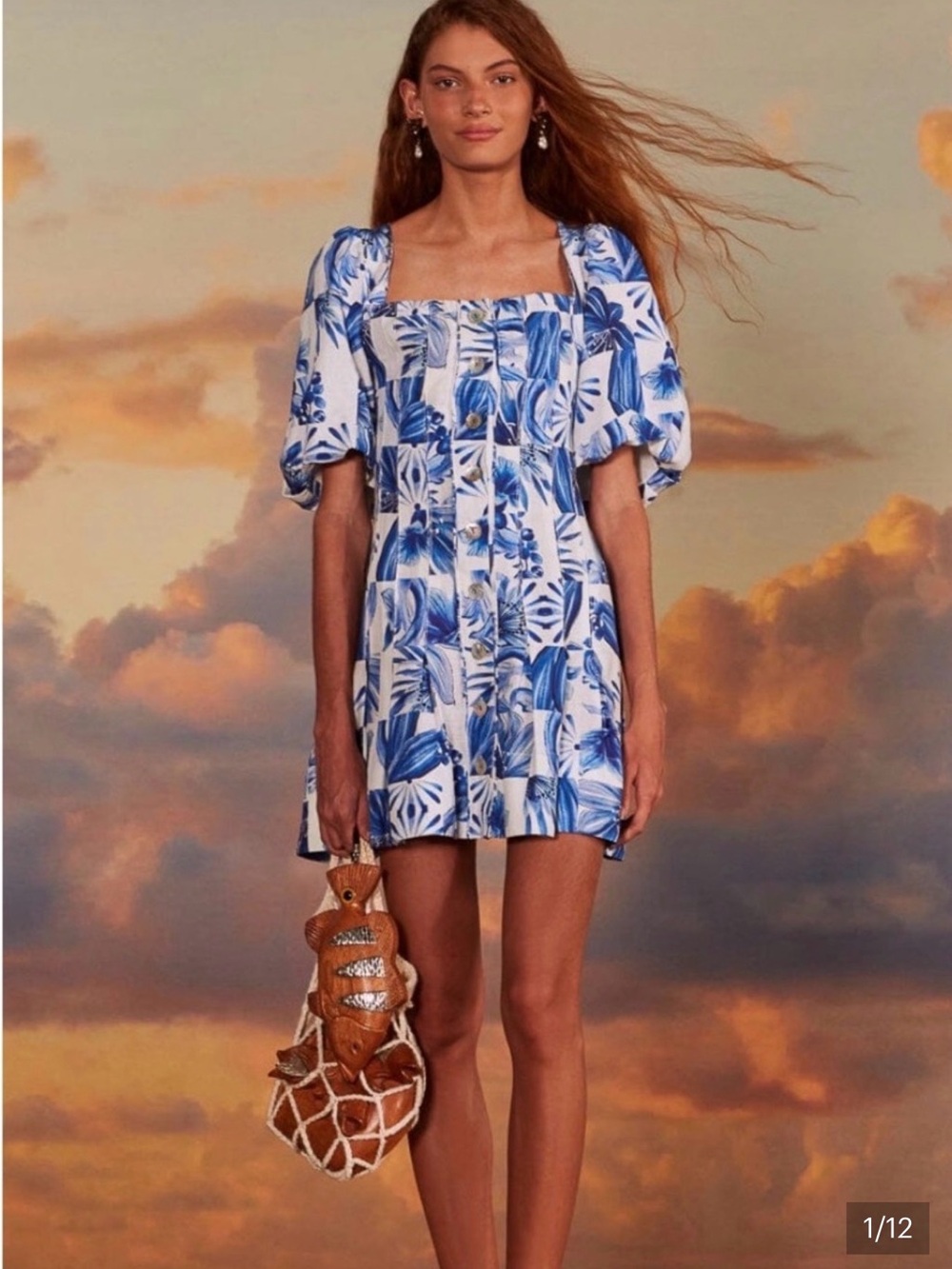 FARM Rio Blue & White Floral Mini Dress